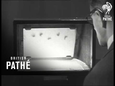 Xmas Crackers (1950)