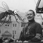 A arma secreta para trollar nazistas: Mosquitos